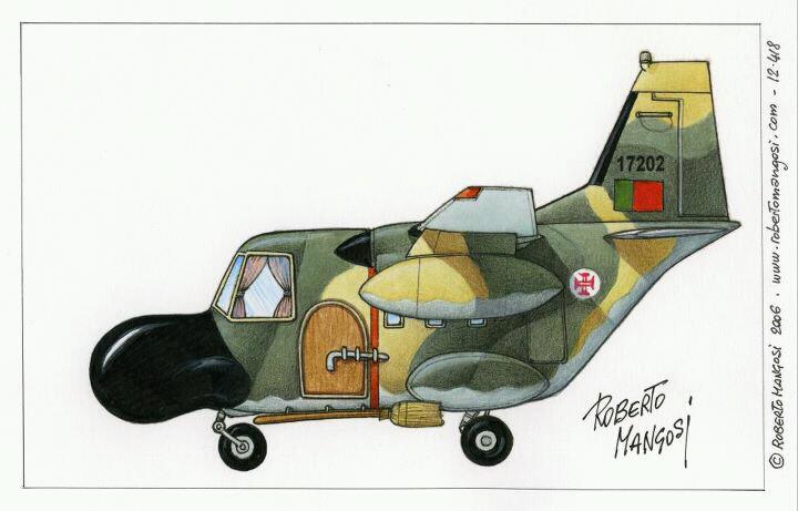 Avião português.jpg