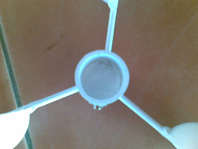 29012012(012).jpg