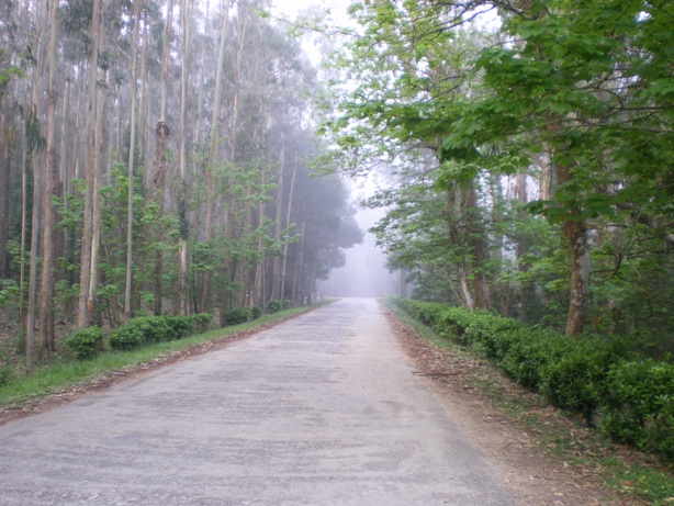 Um ambiente exclusivo apenas sentido na Serra da Boa Viagem...
