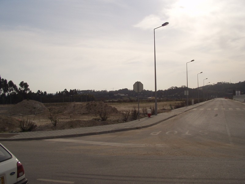 P2160002 (800 x 600).jpg