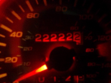 2222.jpg