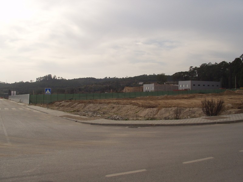P2160003 (800 x 600).jpg