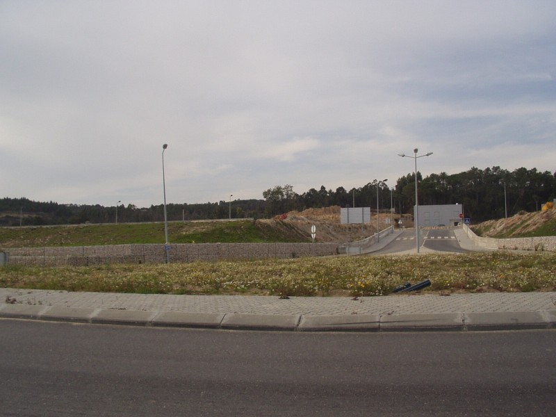 P2160005 (800 x 600).jpg