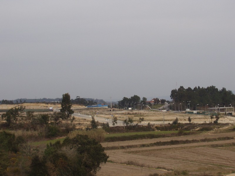 P2160006 (800 x 600).jpg
